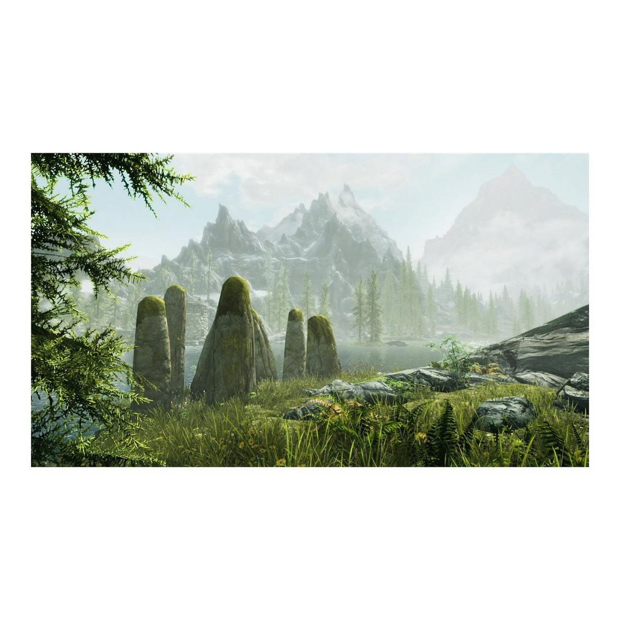The Elder Scrolls V Skyrim Nintendo Switch Walmart