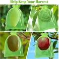 thumbnail image 6 of 50/100pcs Fruit Protection Bags , Green Netting Cover Bags Drawstring Mesh Fruit Protectors Pest Barrier for Grapes Mango Fruit Trees Veggies Garden, 6 of 6