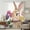 Brown, variant on Easter Bunny Sheer Curtains 54 Inches Long, Spring Colorful Daisy Flowers Rabbit Wood Plank Light Filering Curtains, Breathable Simi Curtain Privacy Drapes for Kitchen Bathroom Small Window Treatment