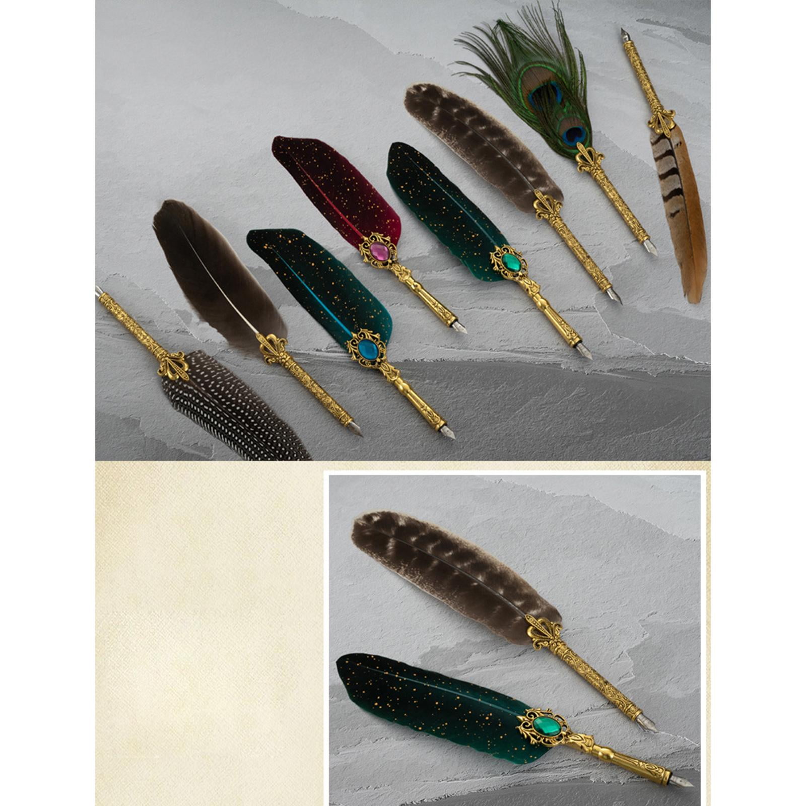LeeQinersw European Style Dip Feather Pen Set, Dip Fountain Pen for Student Signature Birthday Gift Brown