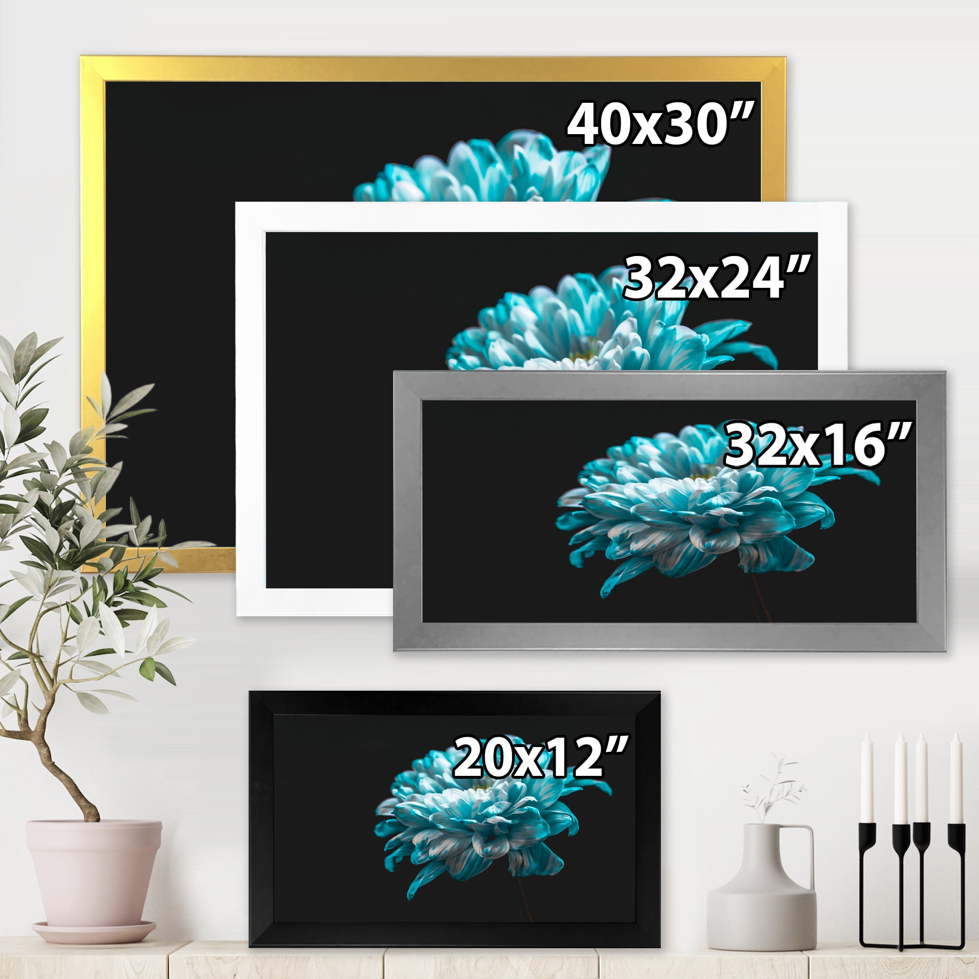 Designart 'Close Up Of White and Pure Blue Daisy Flower II' Traditional Framed Art Print