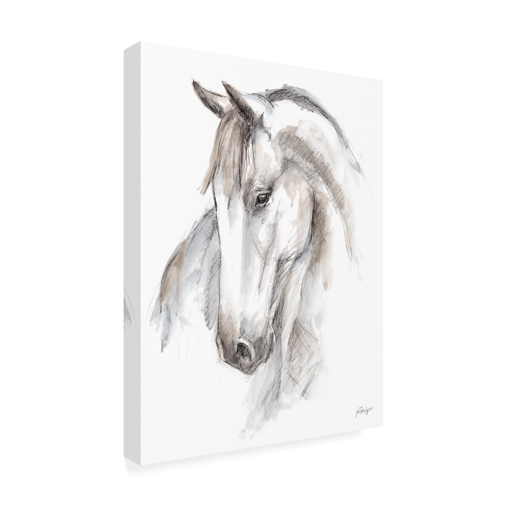 Trademark Fine Art 'Watercolor Equine Study II' Canvas Art by Ethan Harper