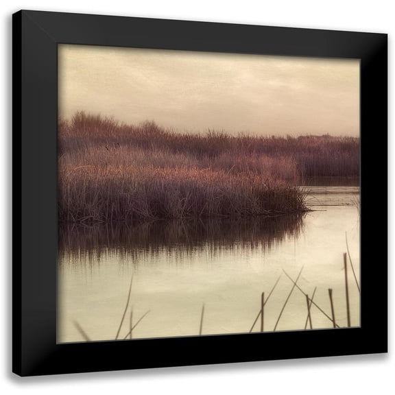 Poinski, Dianne 12x12 Black Modern Framed Museum Art Print Titled - Wetlands Marsh 2