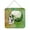 Green, variant on Day of the Dead Teal Skull Wall or Door Hanging Prints