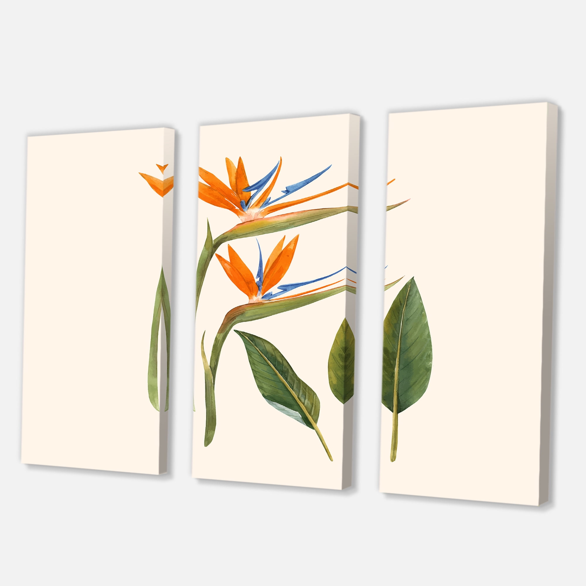 Designart ' Ancient Strelitzia Flowers ' Traditional Canvas Wall Art Print
