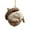 A, variant on CoreLiving Forest Animal Acorn Ornaments, Woodland Christmas Tree Decorations, 2D Acrylic Cozy Holiday Hanging Ornaments with Pine Cone Designs for Home Decor