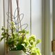 thumbnail image 1 of GOOHOCHY 6Ud Estructura Metálica Para Plantas Trepadoras Ideal Para Y Vegetales En Macetas, 1 of 8