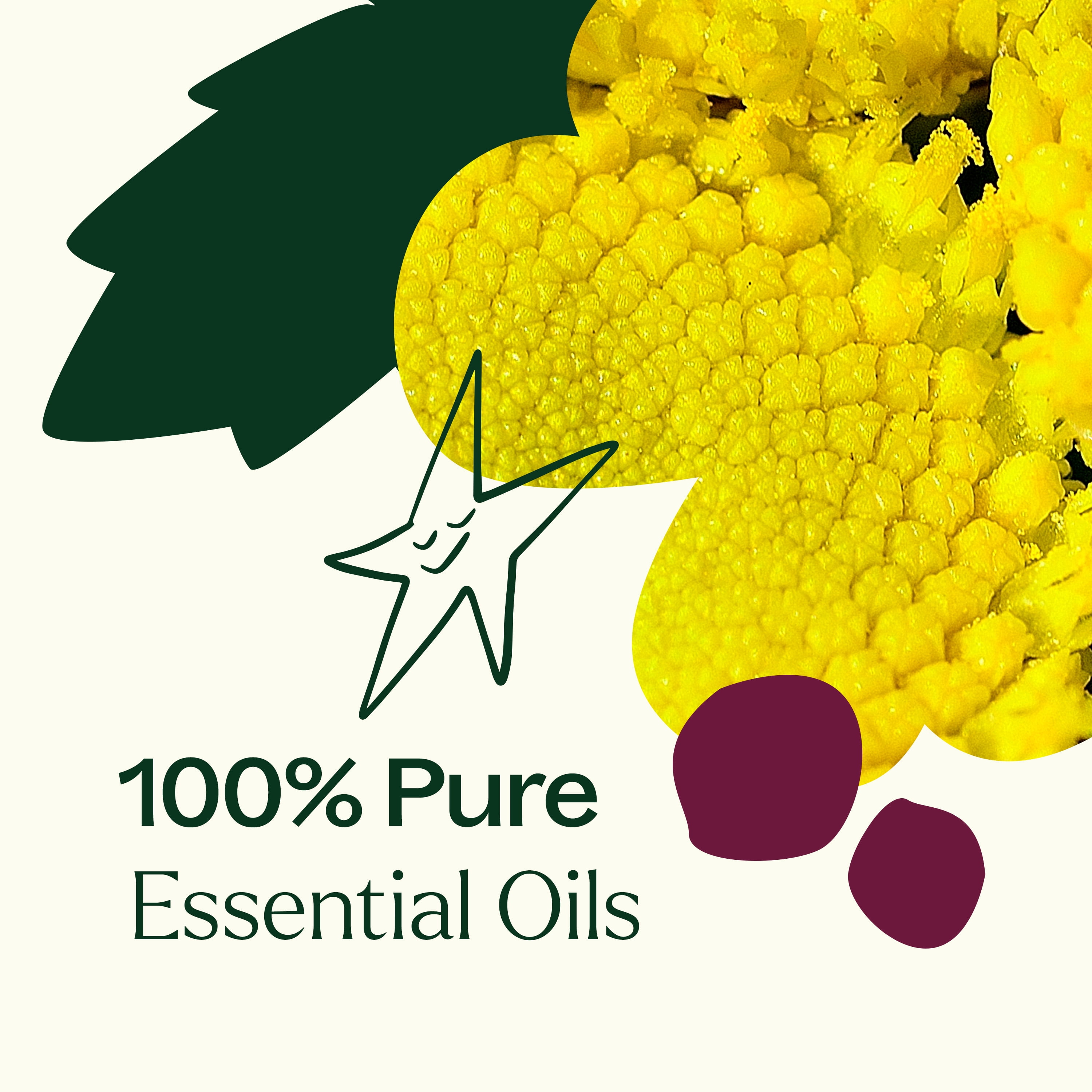 Plant Therapy Self Esteem Essential Oil Blend for Confidence, 10 mL (1/3 oz), 100% Pure, Undiluted, Therapeutic Grade