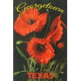 thumbnail image 1 of Georgetown, Texas, Corn Poppy Flowers (36x54 Giclee Gallery Art Print, Vivid Textured Wall Decor), 1 of 3