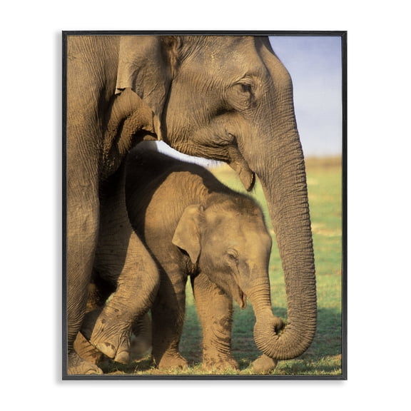 Stupell Industries Traditional Elephant Family Mother with Child Black Framed Giclee Art, 11 x 14, by Gavriel Jecan / DanitaDelimont.com