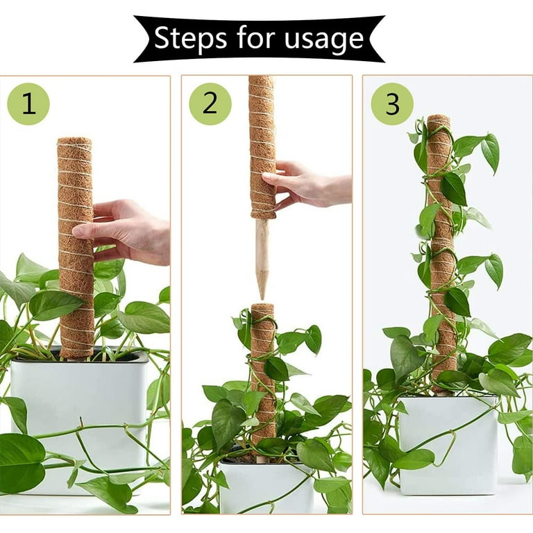 DIY Stackable Moss Pole Grow Vertical Plant Support Climbing Totem  Philodendron