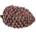 thumbnail image 1 of 1Pack Garden Key Hider Box Resin Pine Cone Shape for Homeowners, 1 of 8