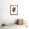 thumbnail image 2 of Leaf Caladium Bicolor Spendens Art Print Framed Poster Wall Decor 9x7 inch, 2 of 5