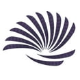 thumbnail image 4 of 12Pcs Feathers Stack Right Wing -, 4 of 7