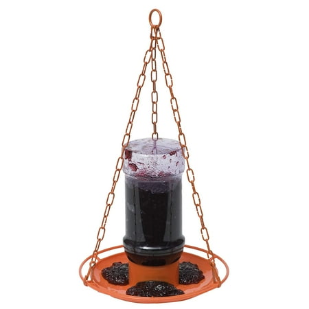 Oriole Jelly - Perky-Pet 253 Oriole Jelly Wild Bird Feeder, Orioles love grape jelly – attract them with a jelly feeder! By PerkyPet