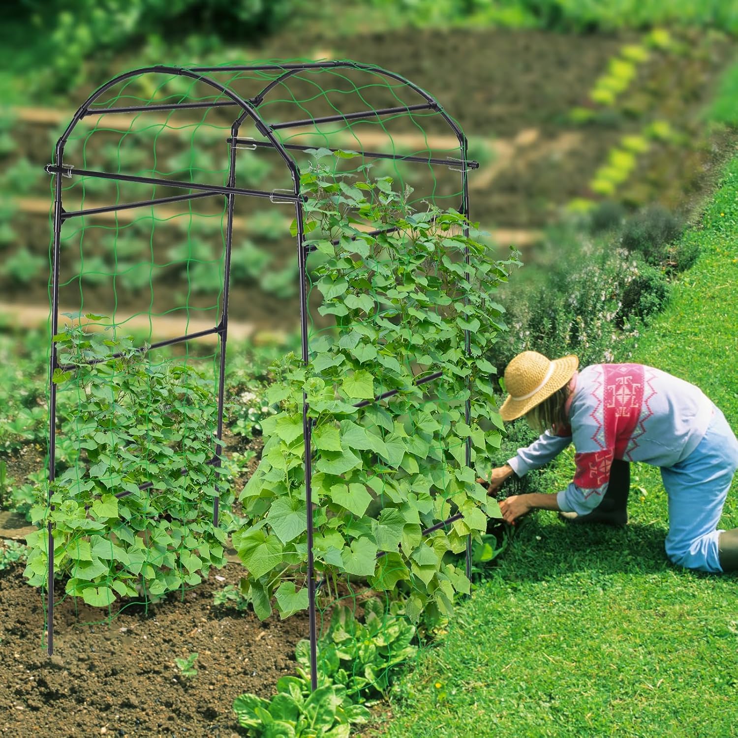 Cucumber Trellis, 6.7ft Tall Garden Arch for Climbing Plants Outdoor  Support Vine Vegetable Tomato Bean Pea Grape Squash Pumpkin Raised Bed Lightweight Black