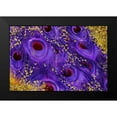 thumbnail image 2 of Lavoie, Tina 24x17 Black Modern Framed Museum Art Print Titled - Buried Treasure III, 2 of 5