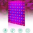 thumbnail image 4 of Lámpara de de plantas de interior completo con luz de crecimiento LED para plantas de invernadero hidropónicas de interior y flores 169 LED shamjiam luces de cultivo de interior, 4 of 8