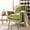 Olive / Natural, variant on SAFAVIEH Astrid Mid-Century Modern Arm Chair, Stone Velvet