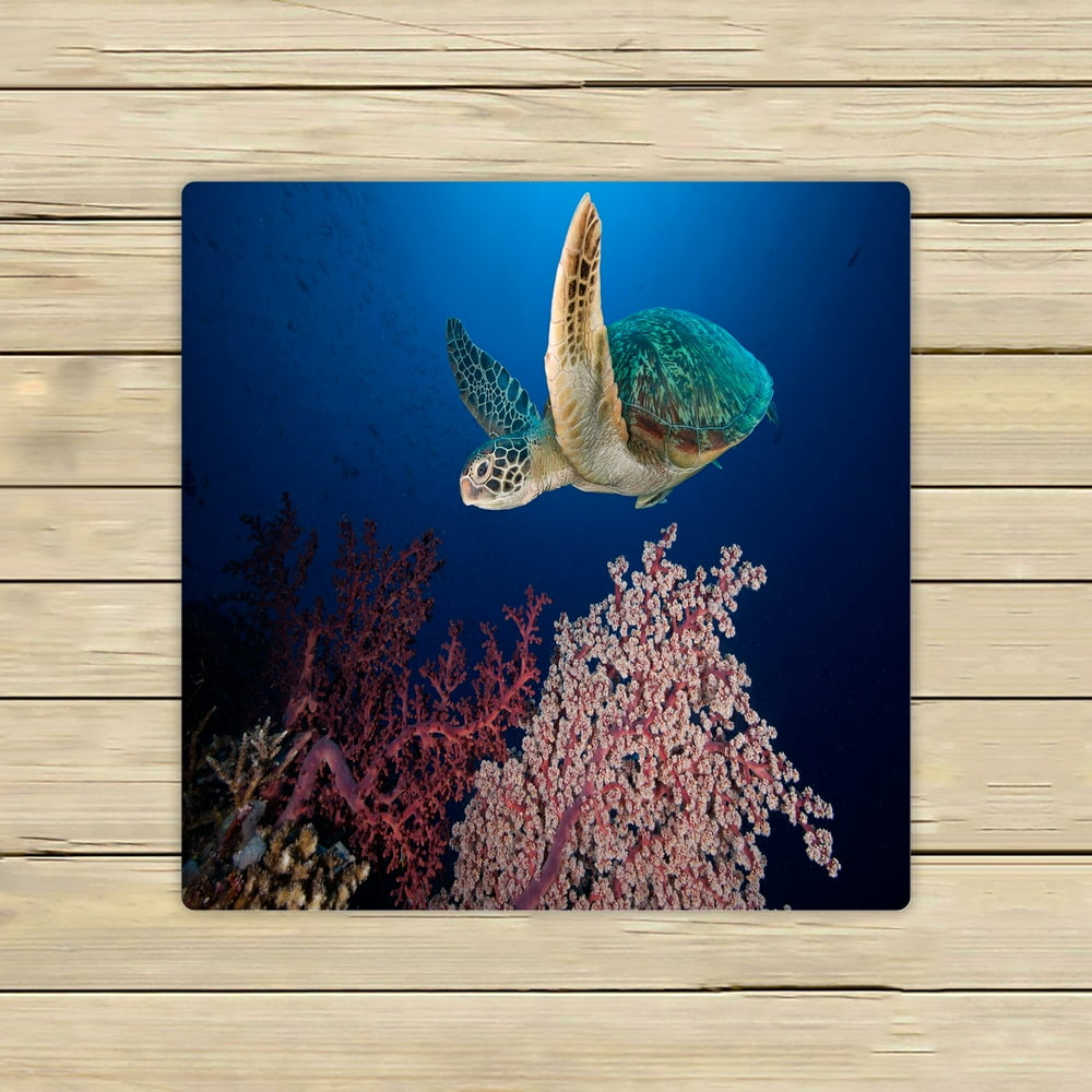 PHFZK Underwater Ocean Animal Towel, Sea Turtle at the Coral Reef Hand