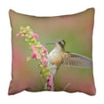 thumbnail image 1 of RYLABLUE Hummingbird drinking nectar from pink flower Pillowcase Throw Pillow Cover Case 18x18 inches, 1 of 2
