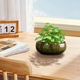thumbnail image 4 of MOQIN 1PC Large Flow Pot Bowl Lotus Water Lily Succulent Ceramic Basin Hydroponic Flower Pots Without Drain Holes, Lotus Bowl Planter, Applicable to Succulent Plants Hydroponic Plant, 4 of 9