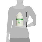 TRIPLE LANOLIN Aloe Vera Lotion,1 Gallon