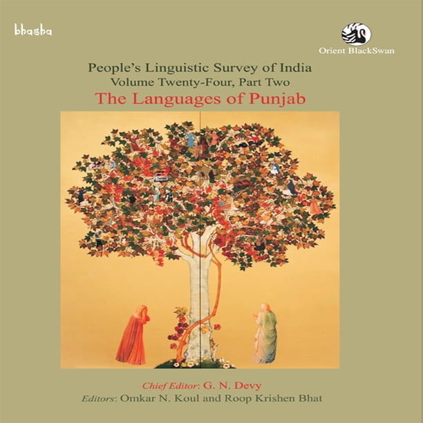 The Languages of Punjab eBook