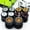 C, variant on 1/64 wheels and Tires Kit to Upgrade Mainline Diecast Model Cars, Car Culture Real Riders Series, ABS and Rubber Material Detail-up Accessories 4 Standard 0.43In and 1 Off-Road 0.55In in A Box