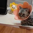 thumbnail image 3 of Soft Adjustable Anti-Licking Pet Recovery Collar, Comfortable Elizabethan Collar for Cats Dogs Post Surgery Home Use, 3 of 3