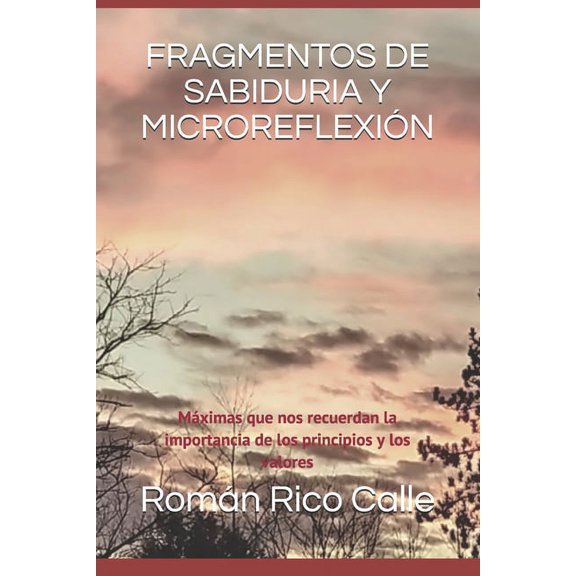 Fragmentos de Sabiduria Y Microreflexión: Máximas que nos recuerdan la importancia de los principios y los valores (Paperback)
