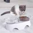 thumbnail image 5 of Comederos para gatos, comederos para gatos elevados e inclinados, comederos para vómitos de cachorros y conejos, comederos ortopédicos para gatos de interior. TUNC Sencillez, 5 of 5