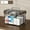 L, variant on Clear Medicine Organizer Storage Box with Tray, Plastic First Aid Box Empty, Thickened Medicine Container Chest