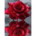 thumbnail image 1 of EverShine DIY Diamond Mosaic Flowers Cross Stitch Diamond Embroidery Rose Rhinestones Art Painting Black And Red Home DecorRound Drill 30x40cm Gao Jinjia LED, 1 of 2