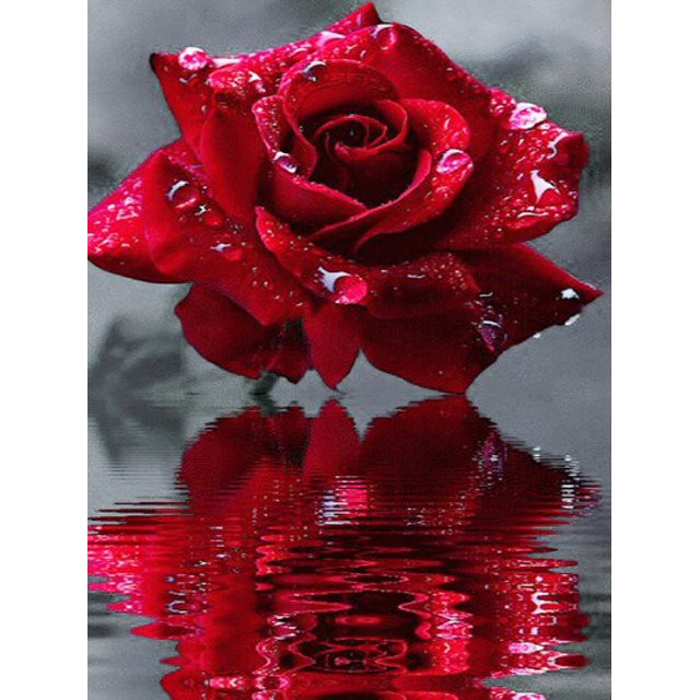 EverShine DIY Diamond Mosaic Flowers Cross Stitch Diamond Embroidery Rose Rhinestones Art Painting Black And Red Home DecorRound Drill 30x40cm Gao Jinjia LED