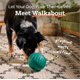 thumbnail image 4 of Juguete para perros WOOF Walkabout dispensador de premios tipo rompecabezas, pequeño, 4 of 9