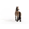 thumbnail image 5 of Schleich : Horse club / Criollo Definitivo Mare 13948, 5 of 5