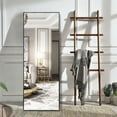 thumbnail image 2 of NeuType Full Length Mirror Floor Rectangle Black 55"x16", 2 of 9
