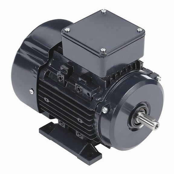 Leeson GP Motor,3/4 HP,1,690 RPM,230/460V AC,80 80T17FH5326