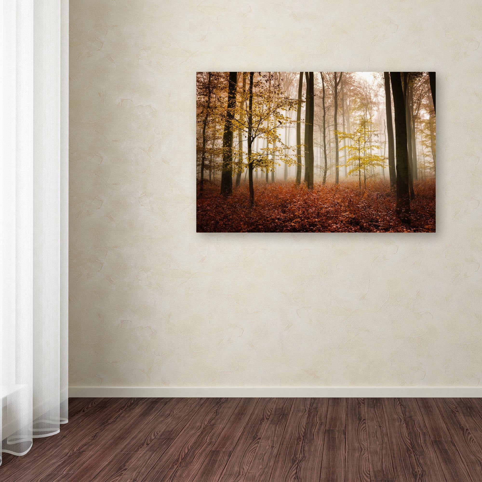 Trademark Fine Art "Calmness" Canvas Art by Philippe Sainte-Laudy