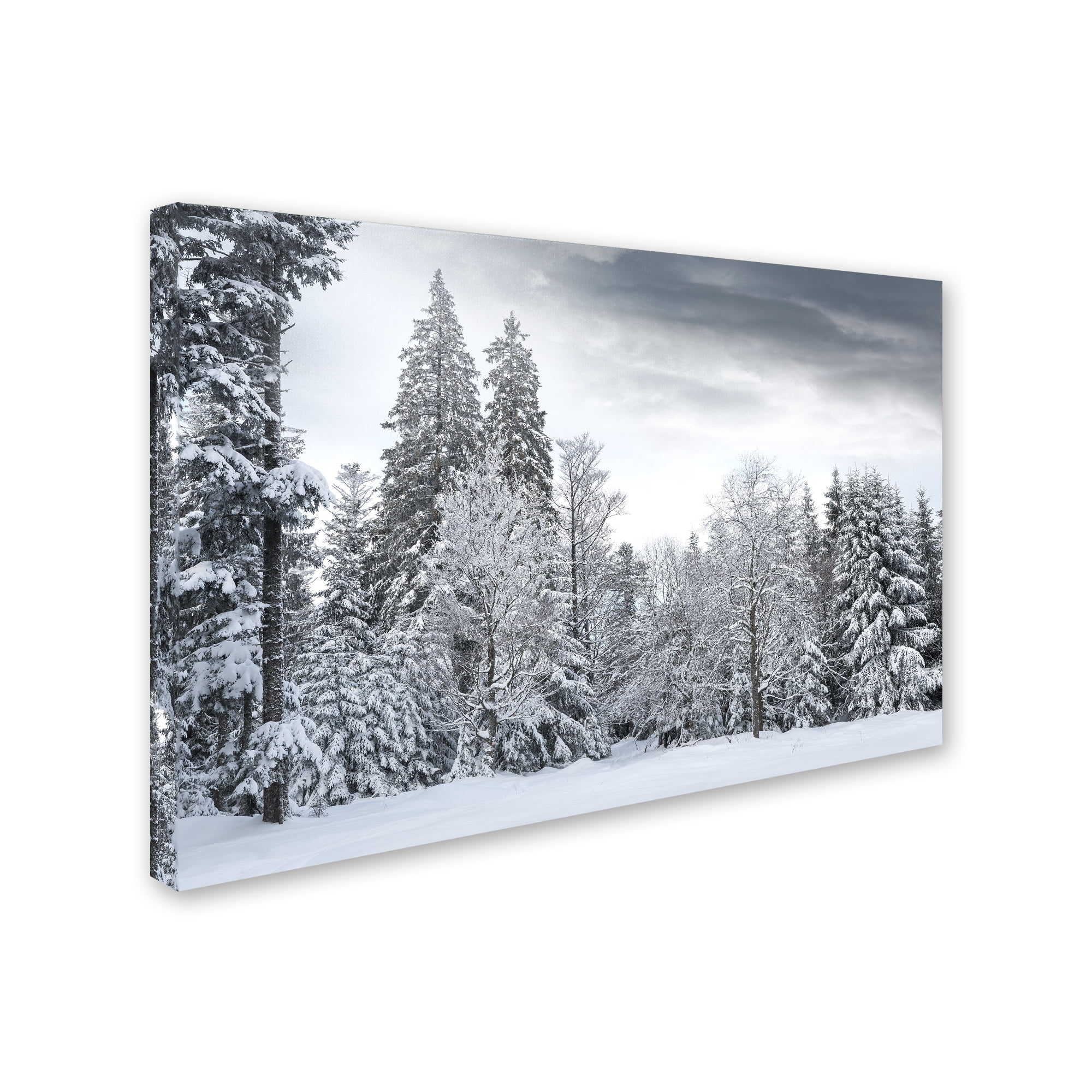 Trademark Fine Art 'We Only Have Forever' Canvas Art by Philippe Sainte-Laudy