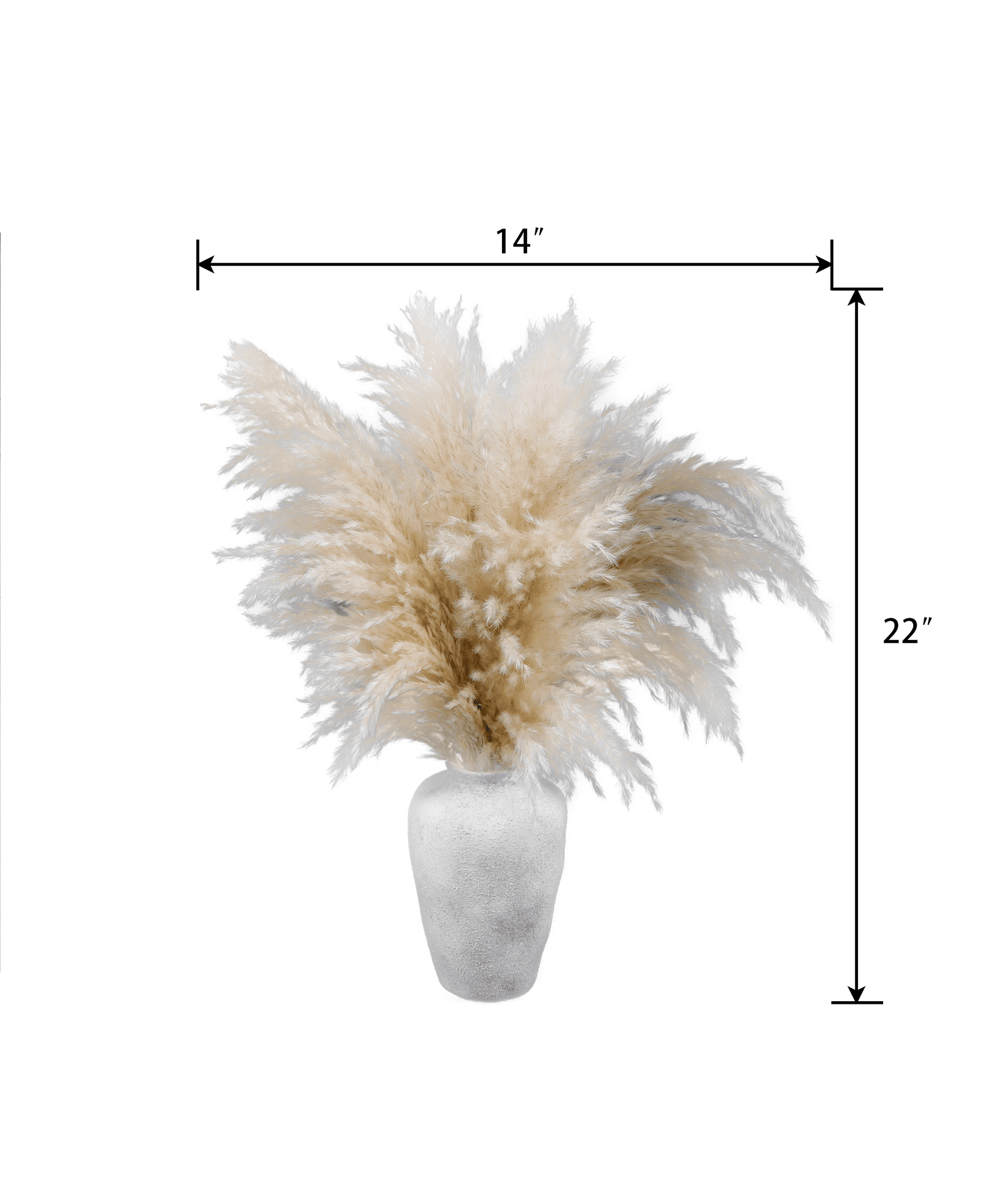Flora Bunda 22 in Tall Pampas Grass in Natural Ceramic Vase for