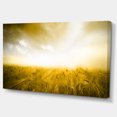 thumbnail image 2 of Yellow Meadow under Bright Sun - Landscape Canvas Art Print, 2 of 4