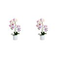 thumbnail image 4 of Kearding Planta artificial apta para mascotas e inodoro para decoración del hogar no tóxica Flor de bonsái artificial BF2312087 BF2312087 2piezas, 4 of 6