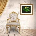thumbnail image 3 of Wang, Melissa 14x12 Gold Ornate Wood Framed with Double Matting Museum Art Print Titled - Wild Dandelion II, 3 of 4
