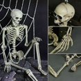thumbnail image 5 of Halloween Human Skeleton Extra Large Movable Natural Decorative Party Prop, 5 of 5