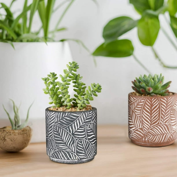 3 Pack 4 Inch Round Cement Flower Pots Leaf Pattern Small Cactus