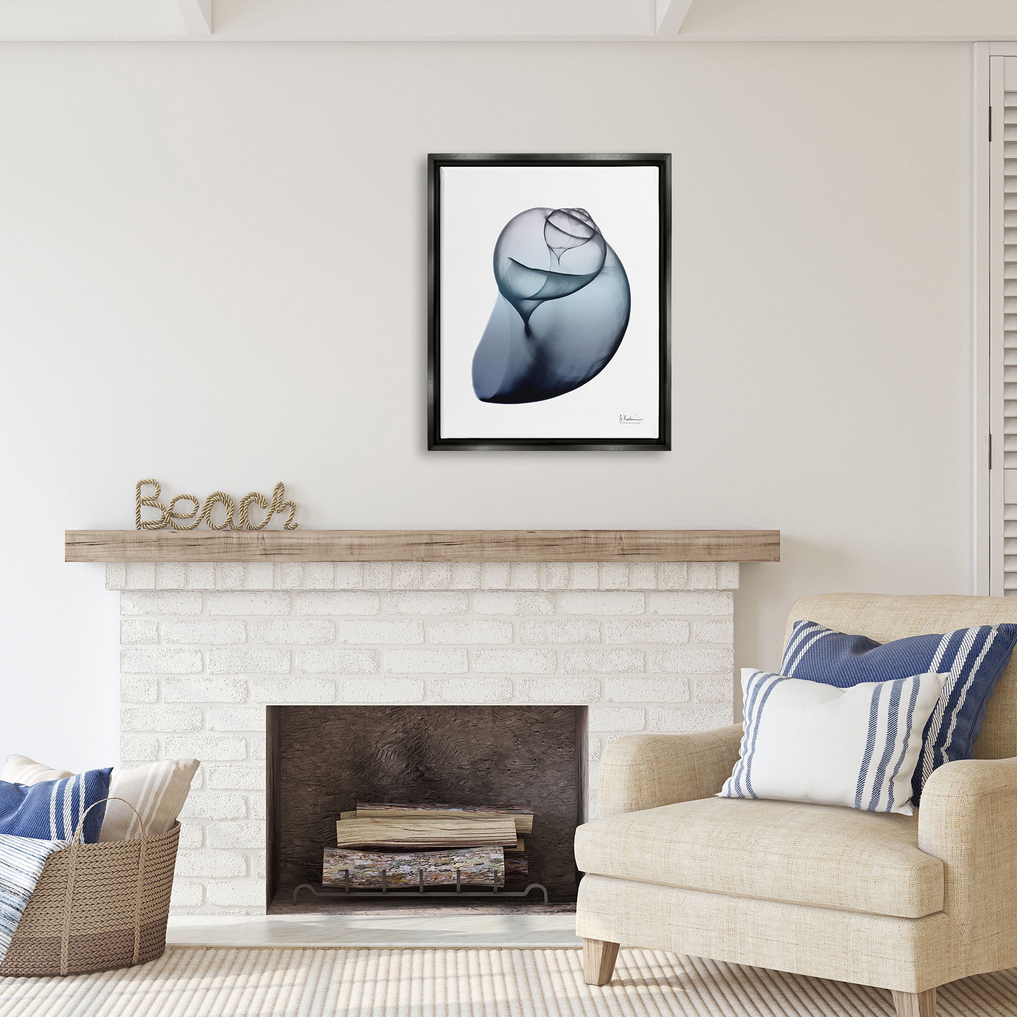 Stupell Industries Contemporary Snail Shell Abstract Photography Black Floater Framed Art Print Wall Art, 25 x 31