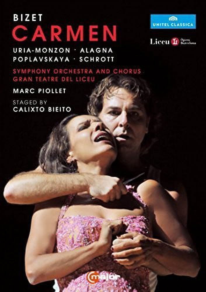 Sandy: Meu Canto: Ao Vivo No Teatro Municipal De Niterói (DVD