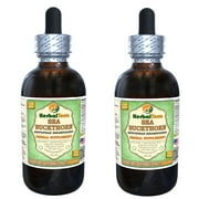 Sea Buckthorn (Hippophae rhamnoides) Glycerite, Organic Dried Berries Alcohol-FREE Liquid Extract (Herbal Terra, USA) 2x4 oz
